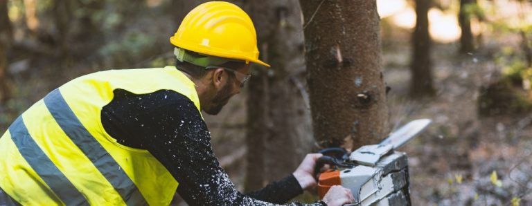 Personal Protective Equipment (PPE) to Do the Job Safely